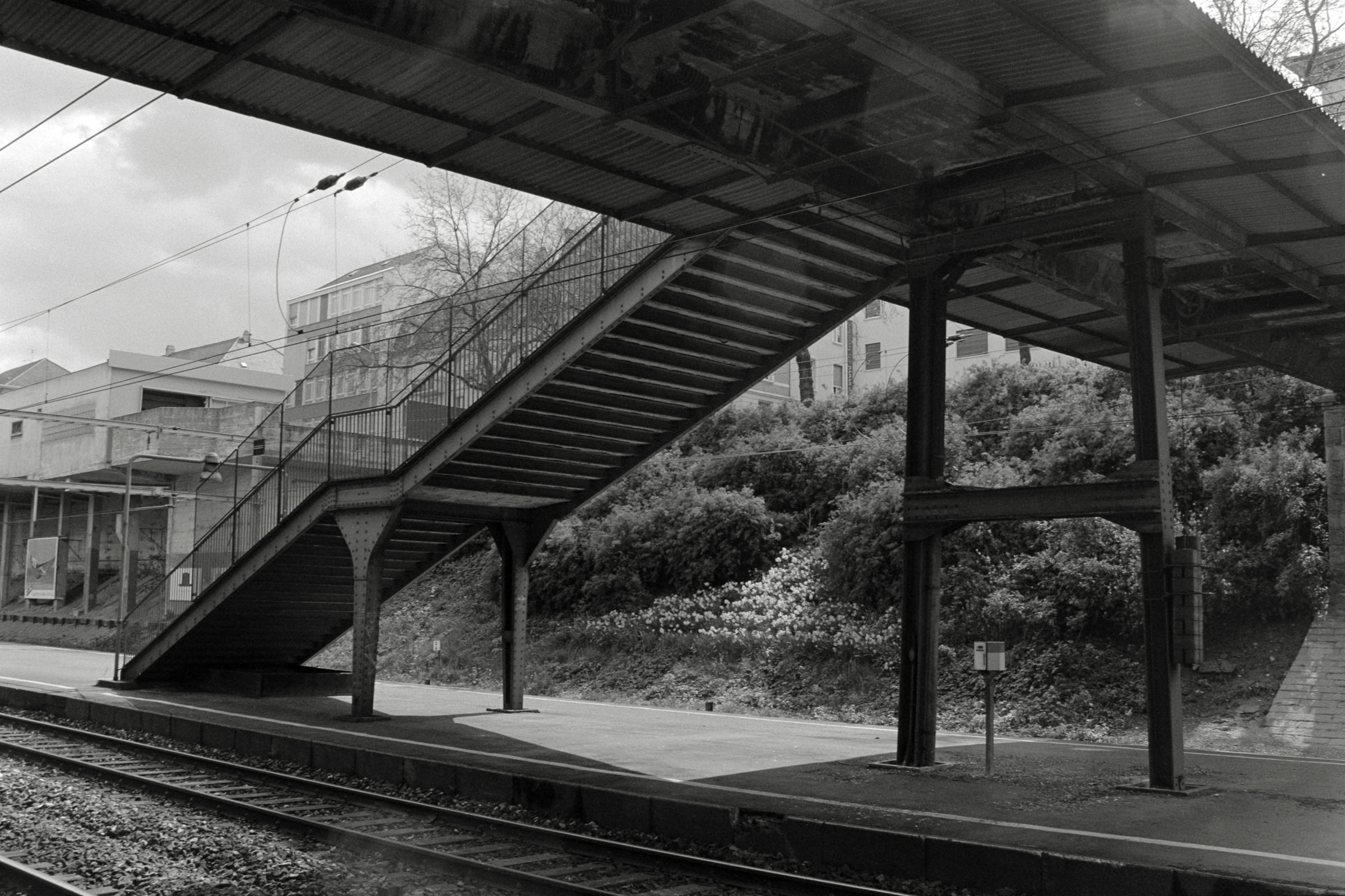 AHP F1992 04 002 sc250507 img29 NLP